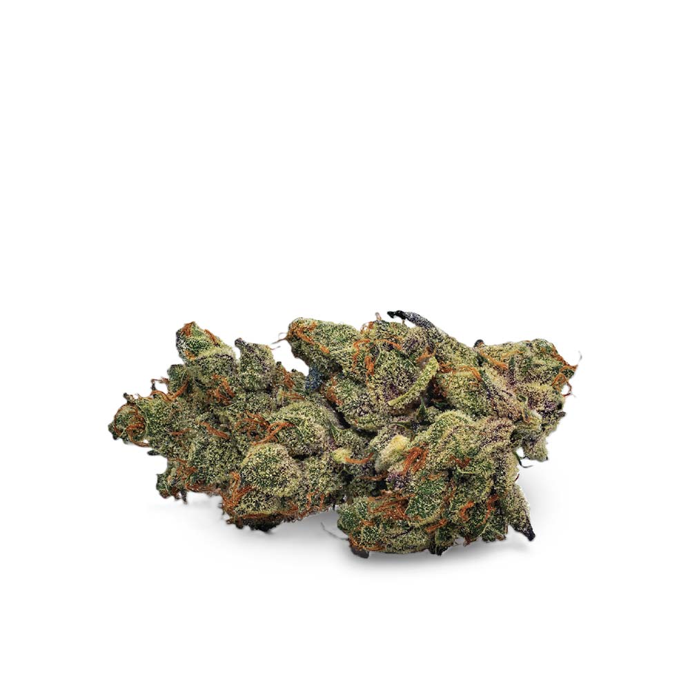 Black Cherry Punch: Stärkste Cannabissorte in Deutschland
