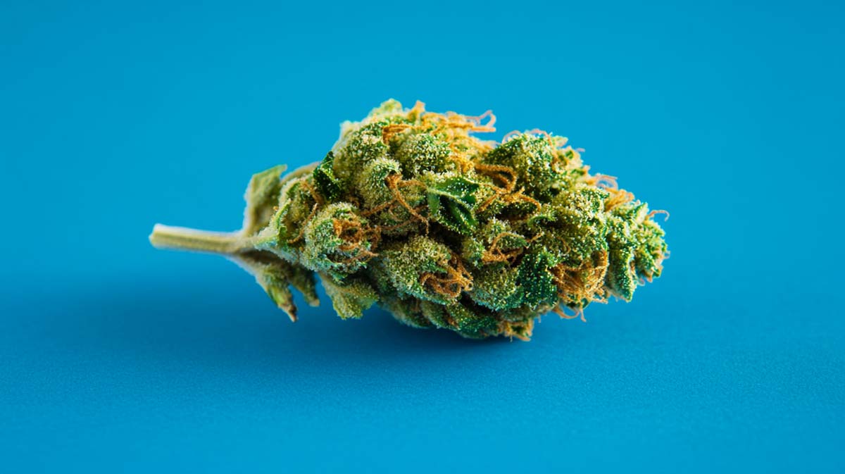 Lemon Og
