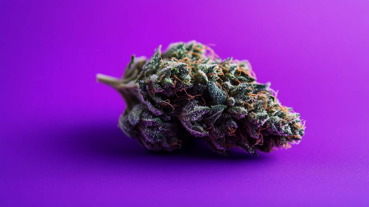Og Lime Kush