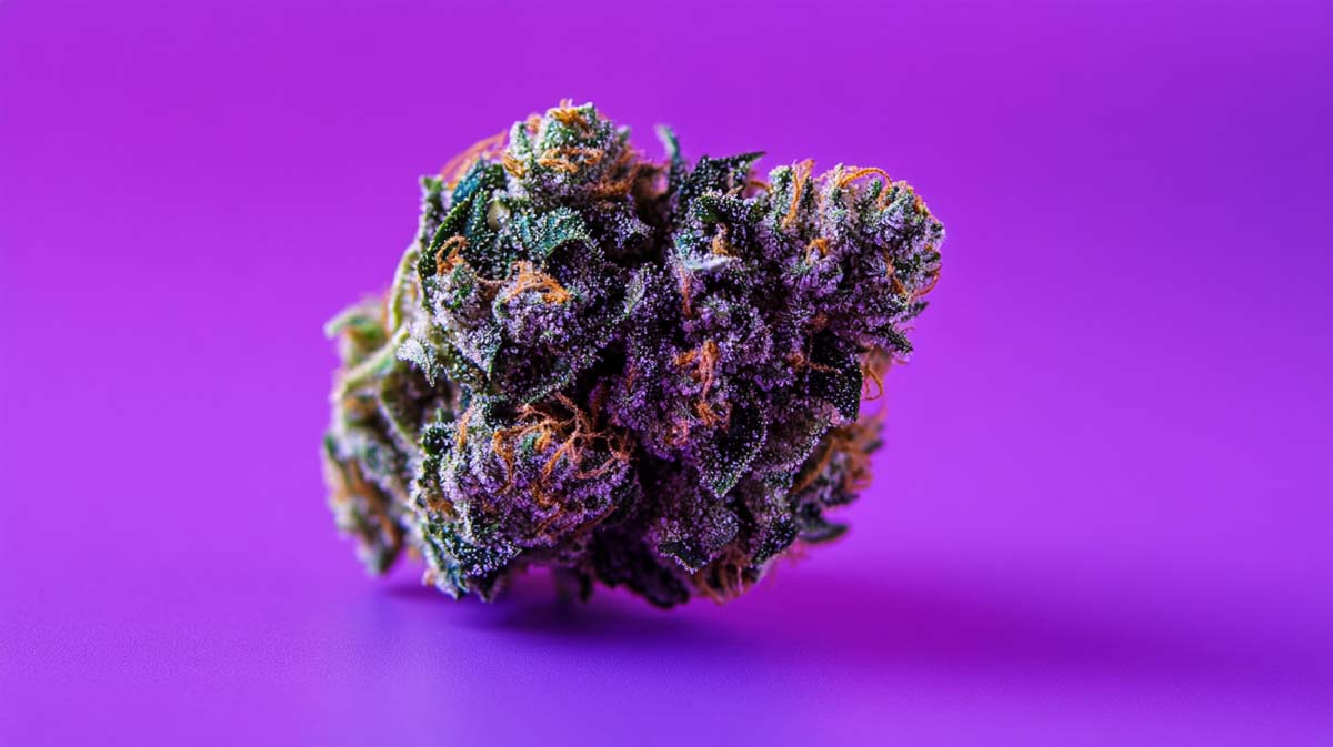 Ghost Og