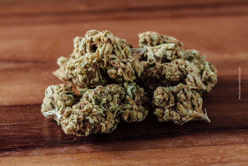 cannabis-sorte-blute-bud-blute-tisch-shop-thc-aroma-detail