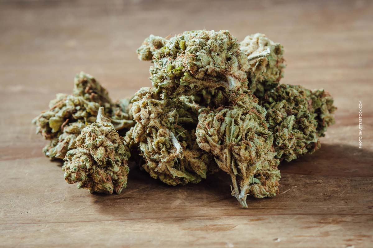 cannabis-sorte-blute-bud-blute-tisch-shop-thc-aroma-stapel