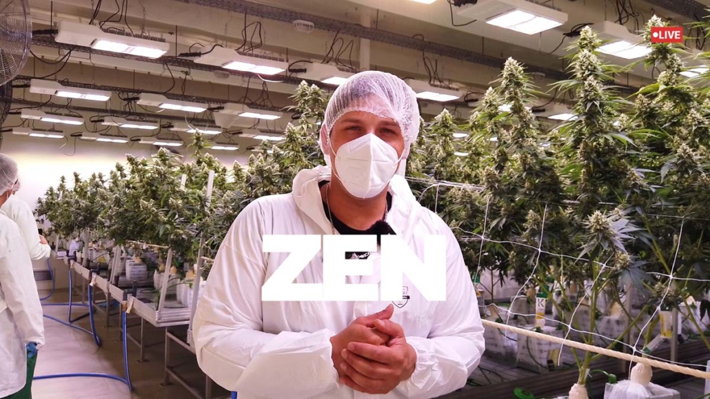 cannabis-plantage-doku-hersteller-import-deutschland-anbau-pflanze-bluete-dokumentation-youtube