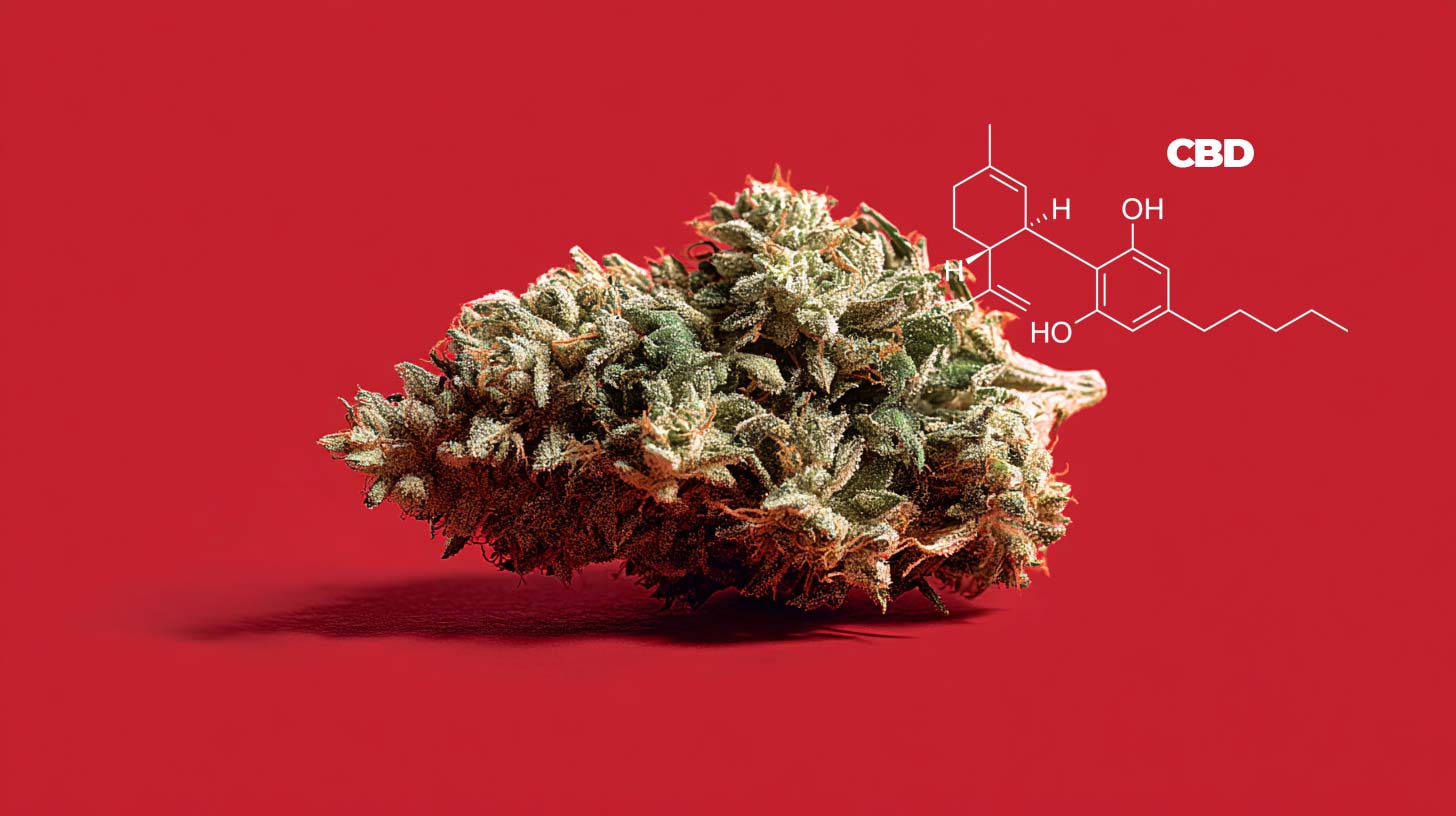 cbd-sorte-cannabinoid-wirkstoff-weed-cannabis-molekul-chemie-wirkung-korper-gehirn-blute-foto-rot